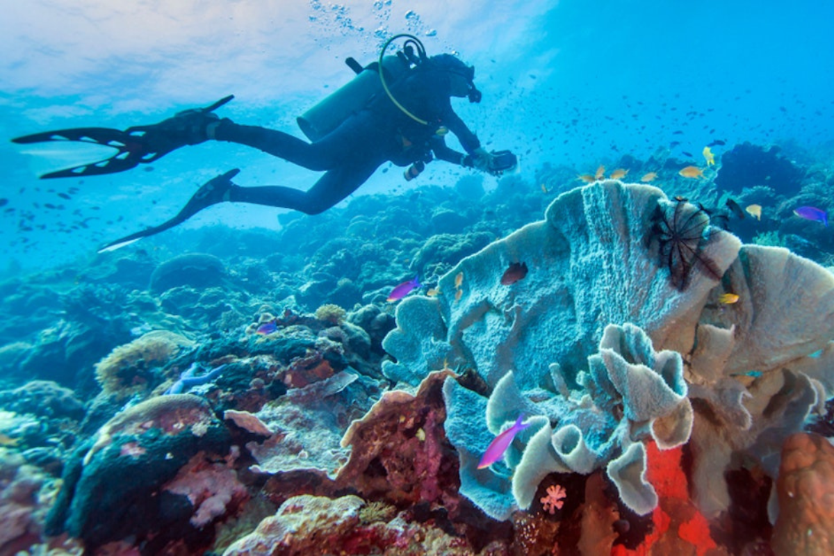 kinh nghiệm du lịch Boracay tự túc 2023 - lặn biển scuba diving