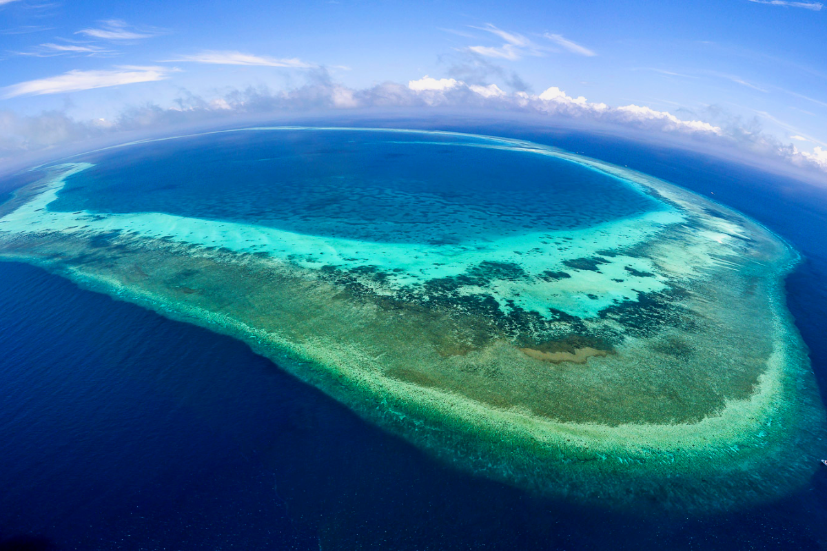 địa điểm lặn biển Philippines - Tubbataha Reef 