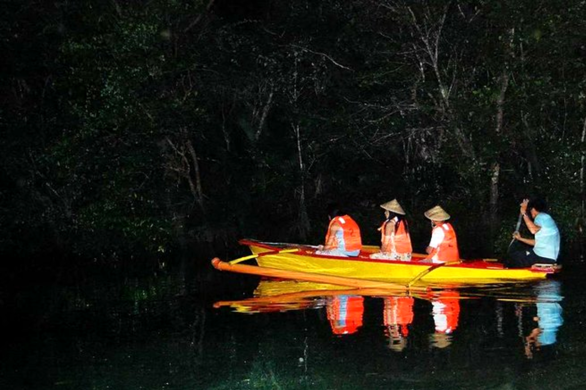 Fireflies - khám phá vườn quốc gia sông ngầm Puerto Princesa